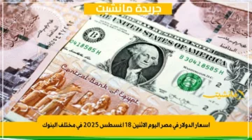 أسعار الدولار في مصر اليوم الإثنين 18 أغسطس 2025 في مختلف البنوك